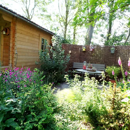 Bed & Breakfast De Pauw Wieringerwaard
