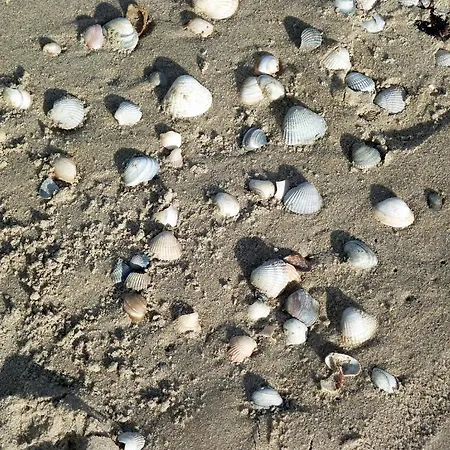 De Pauw Wieringerwaard