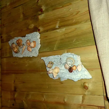 Bed & Breakfast De Pauw 2*