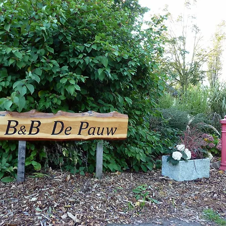 Bed & Breakfast De Pauw Wieringerwaard